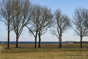 Blue sky and barren landscape with trees in a quiet rural area d