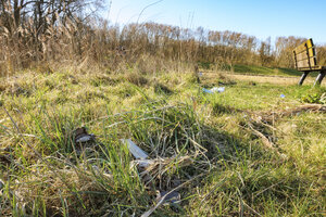 Urban littering creates environmental challenges in green spaces