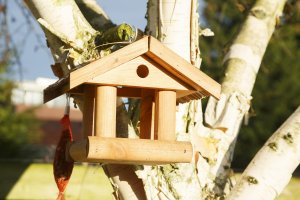 Vogelhuisje in het park