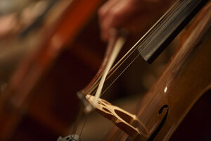 Strijker aan het werk tijdens avondconcert