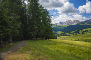 Schilderachtig wandelpad door weelderige groene weiden