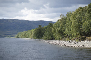 Rustig meer met groene bosoevers