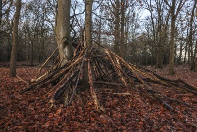Rustieke hut in herfstbos