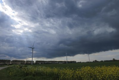 Dramatic sky over wind turbines with yellow flowers in the foreg