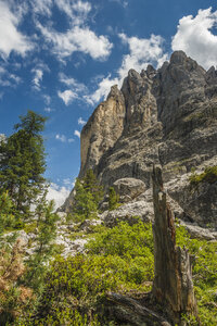 Verkenning van de Dolomieten: rotsformaties en groen