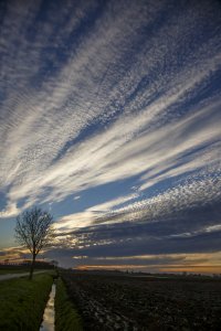 Zonsondergang op landbouwgrond