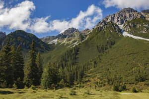 Majestueuze Oostenrijkse Alpen met groene bossen