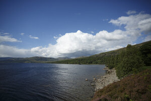 Tranquil meer omringd door groene bossen