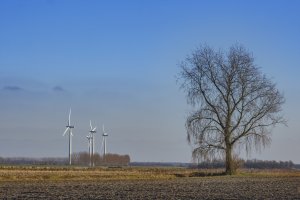 Windturbines in landelijk landschap onder blauwe lucht
