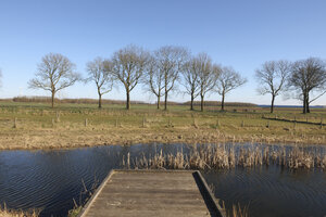 Tranquil lakeside view with barren trees and clear sky in serene