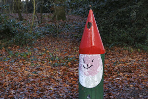 Herfstkabouter tussen gevallen bladeren