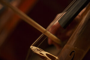 Strijkinstrument in concert