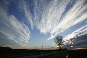 Wolkpatronen strekken zich over de hemel uit met een enkele boom naast...