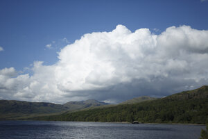 Meer met dramatische wolken en dennenbos
