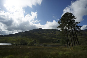 Berglandschap met naaldbomen en water