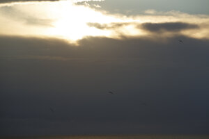 Zonsondergang over de Noordzee met wolken