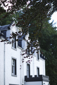 Historisch wit gebouw onder de bomen