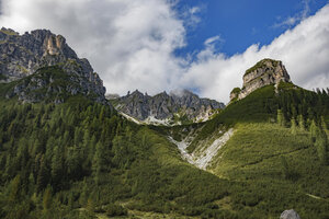 Majesteiteuze Oostenrijkse alpinen met beboste flanken