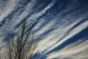 Wolkpatronen en wintertakken onder blauw
