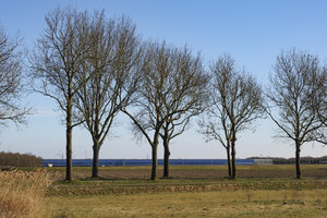 Green landscape with bare trees and distant large building on a