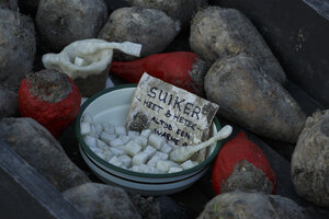 Suikerbieten en suikerklontjes