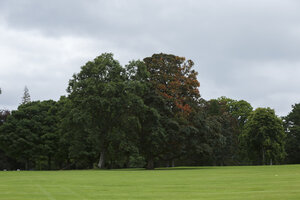 Parklandschap met herfstkleuren en bomen