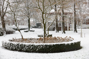 Besneeuwd park in winter met bevroren bomen