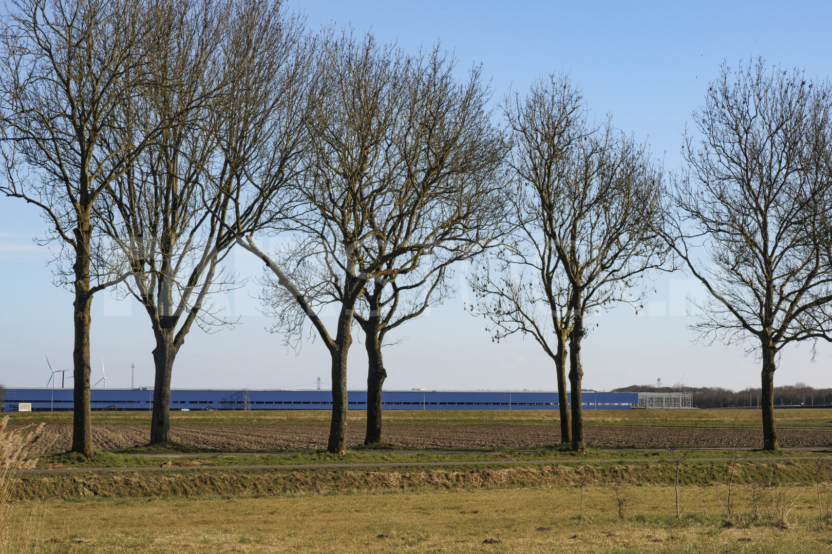 Blue sky and barren landscape with trees in a quiet rural area d