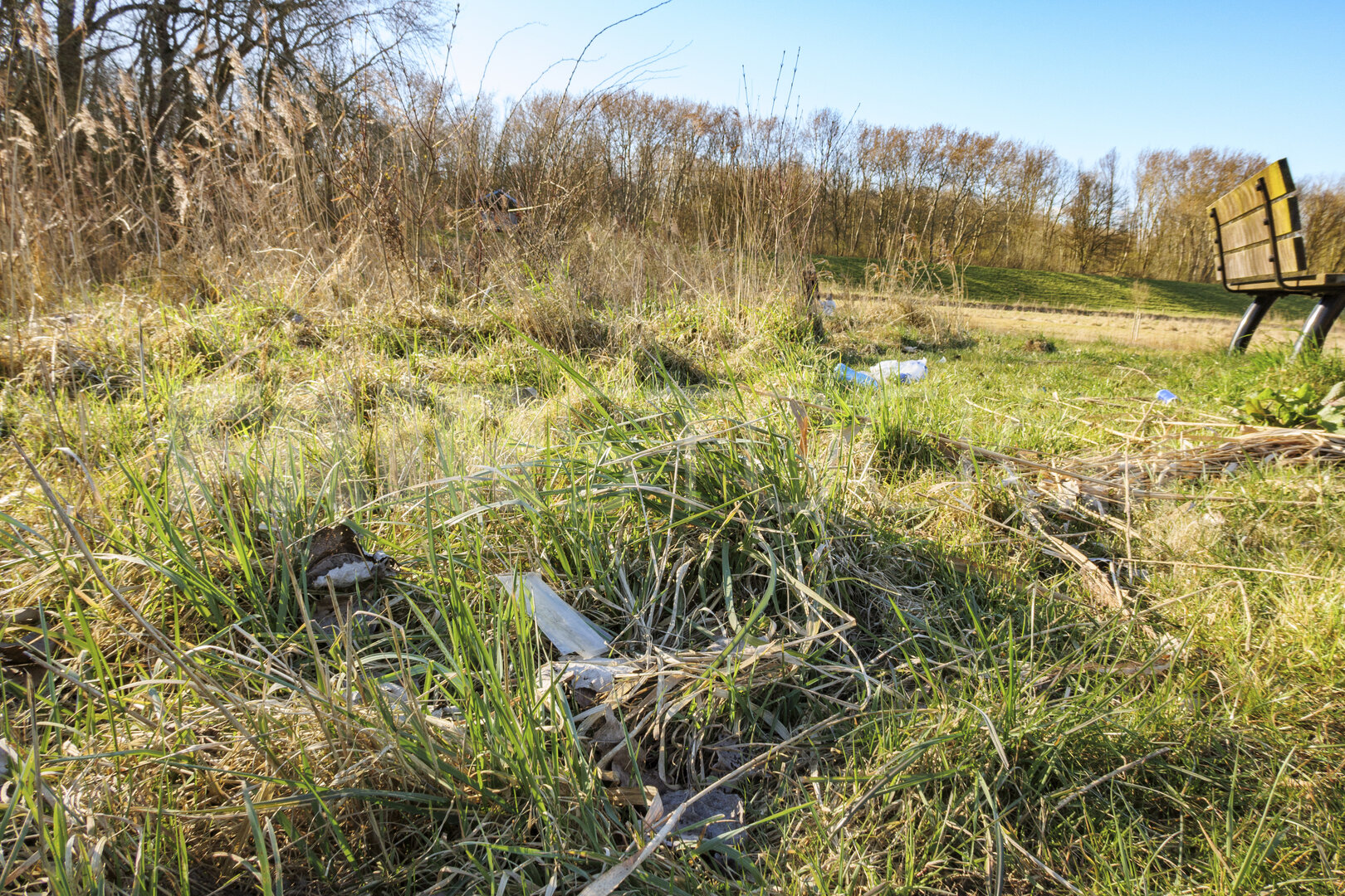 Urban littering creates environmental challenges in green spaces