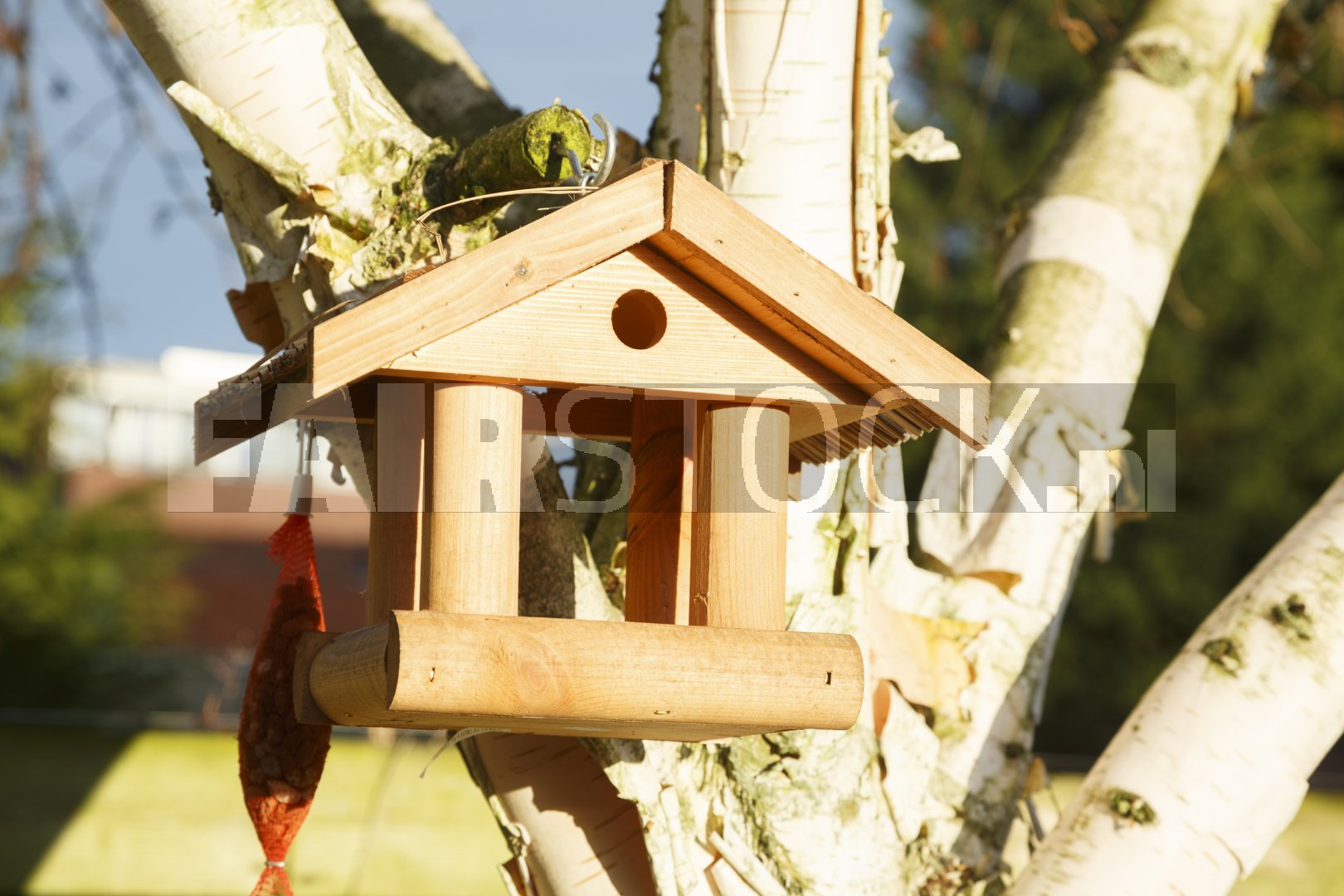 Vogelhuisje in het park