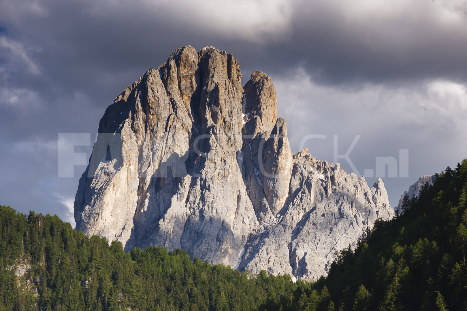 Majestueuze bergtop torent boven weelderig bos uit