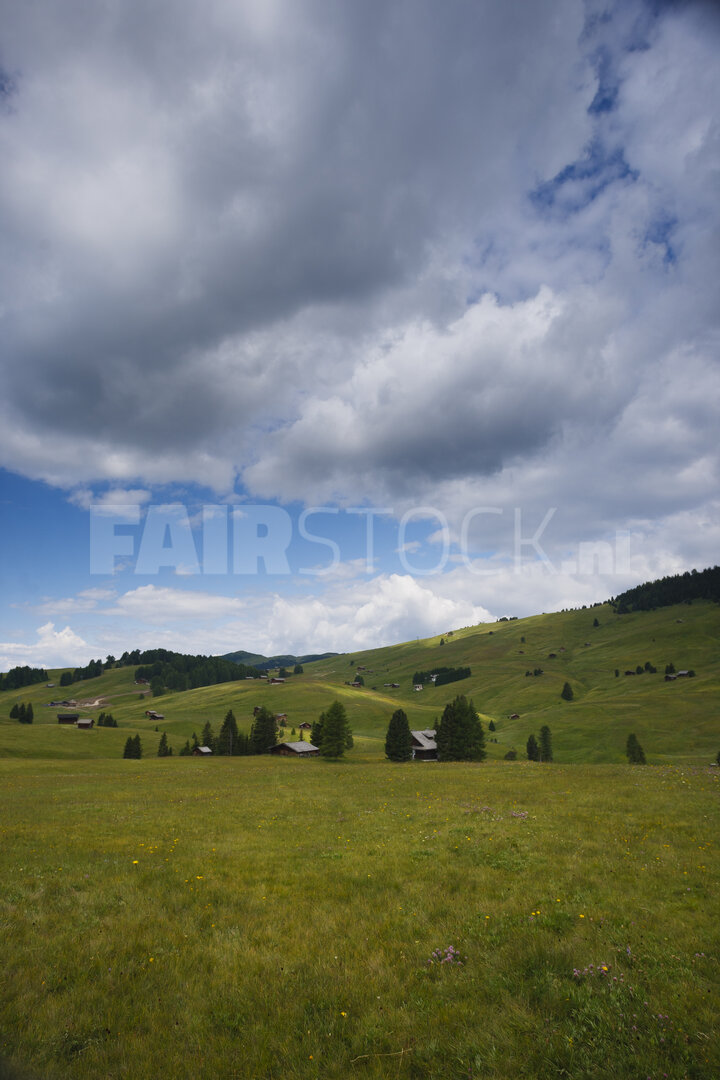 Majestueus zomerlandschap van groene heuvels