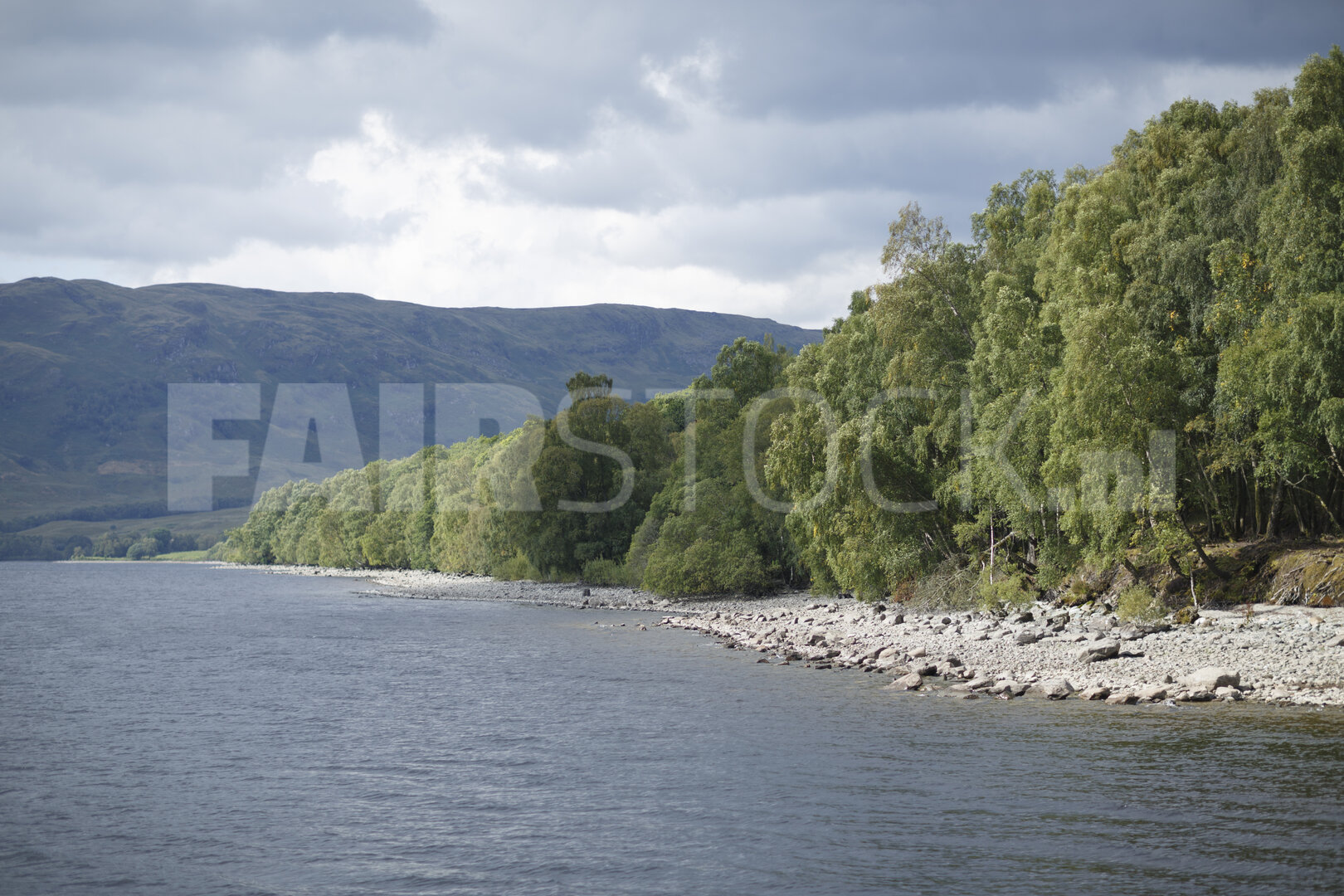 Rustig meer met groene bosoevers