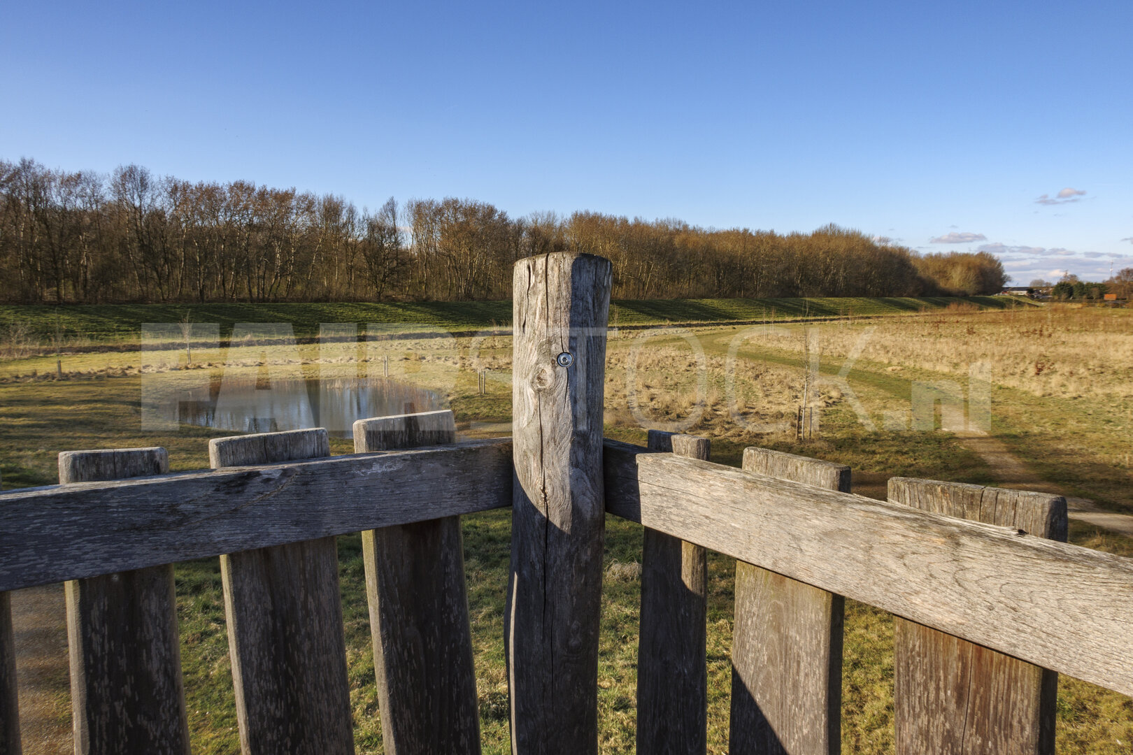 Serene landscape view from a wooden lookout tower in a rural are