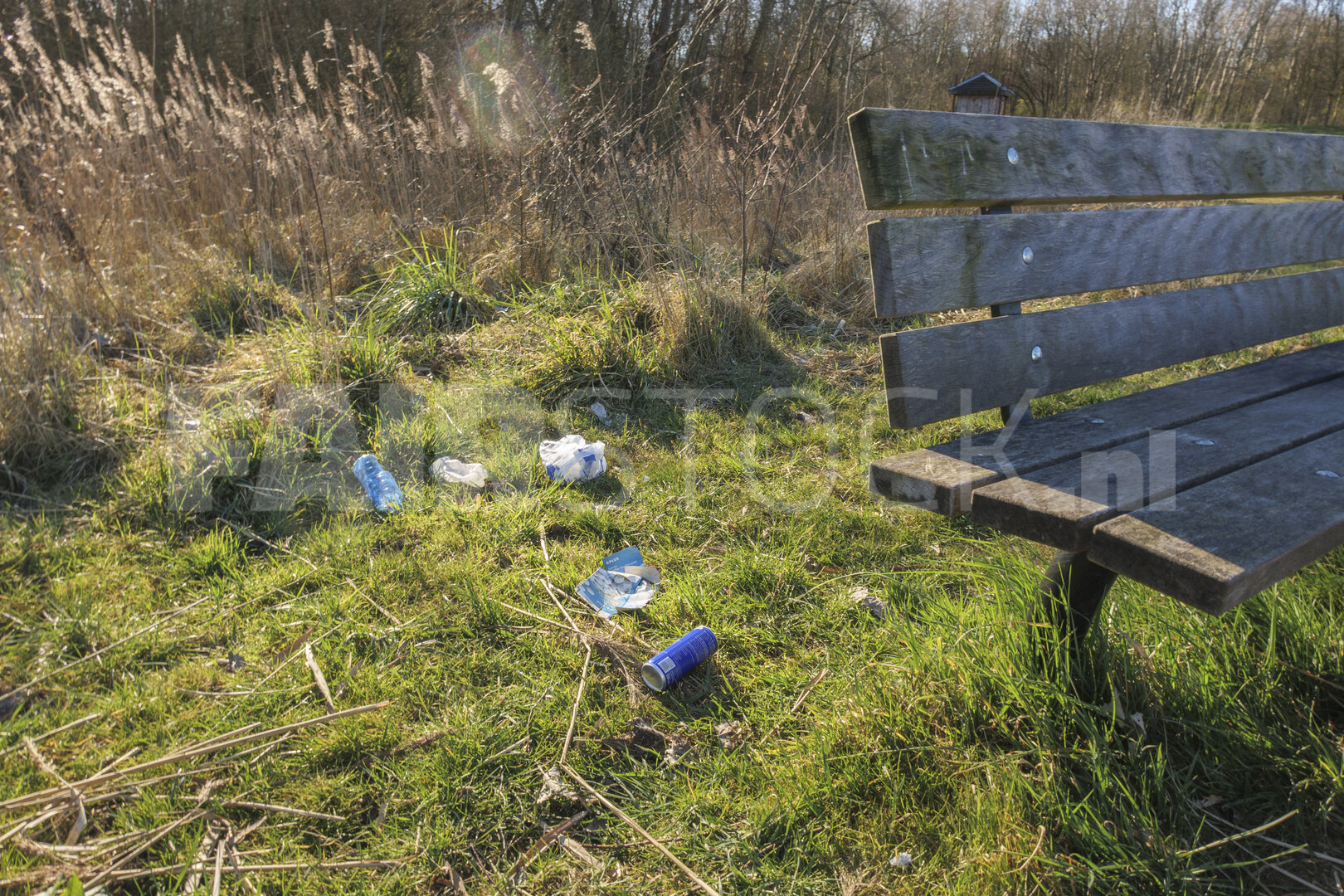 Trash littered on the ground near a park bench in a natural sett