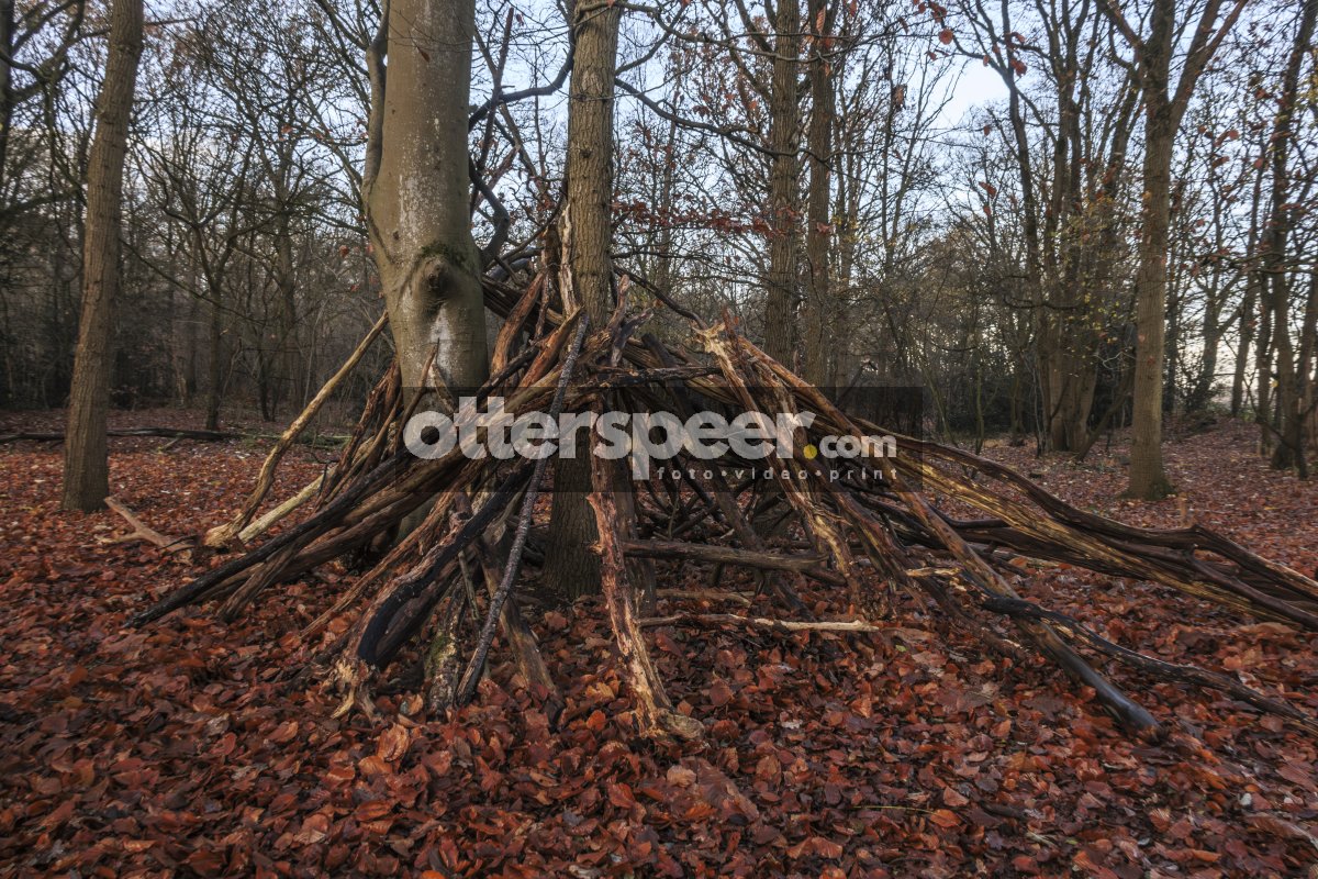 Rustieke hut in herfstbos