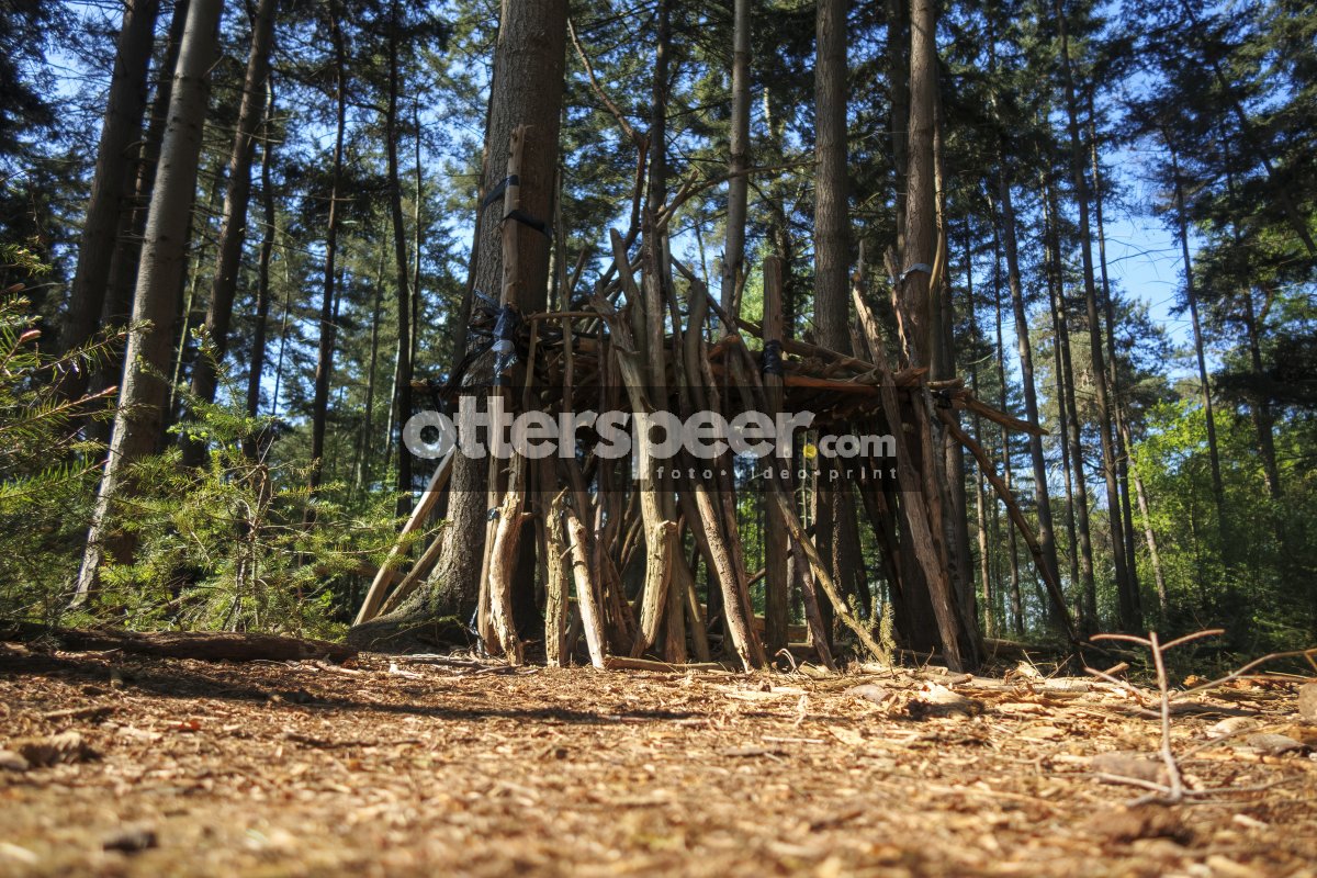 Children build a small woodland shelter using sticks and branche
