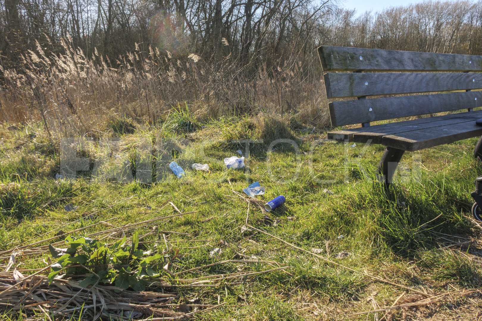 Litter scattered on the grass near a bench in a public park on a