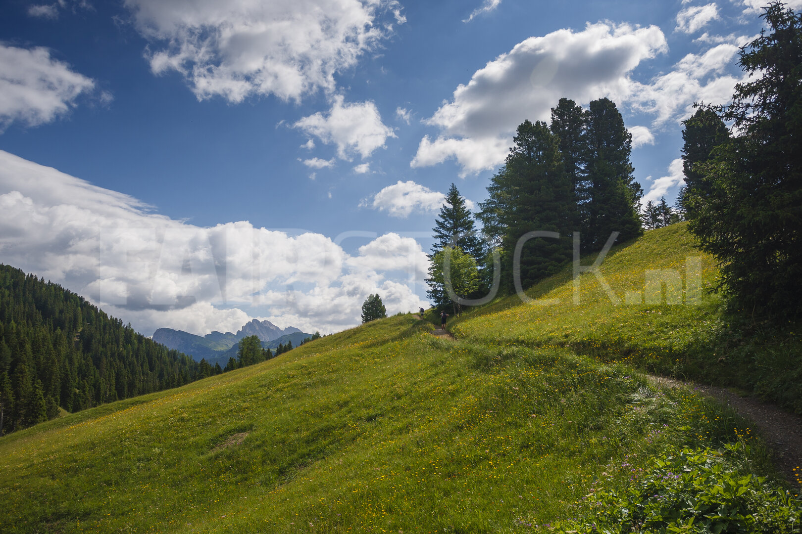 Ontdek serene glooiende groene heuvels onder een helderblauwe lucht