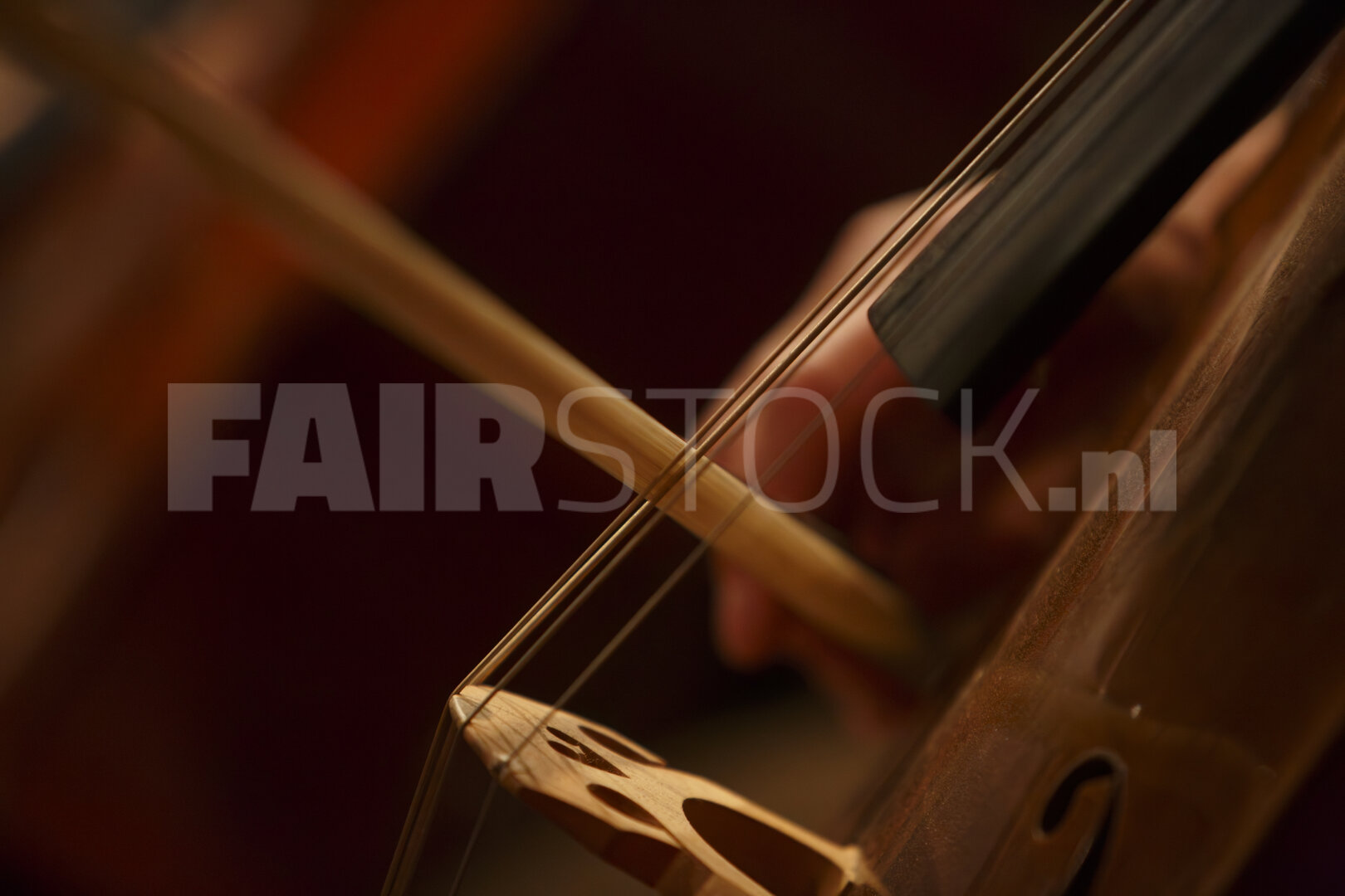 Strijkinstrument in concert