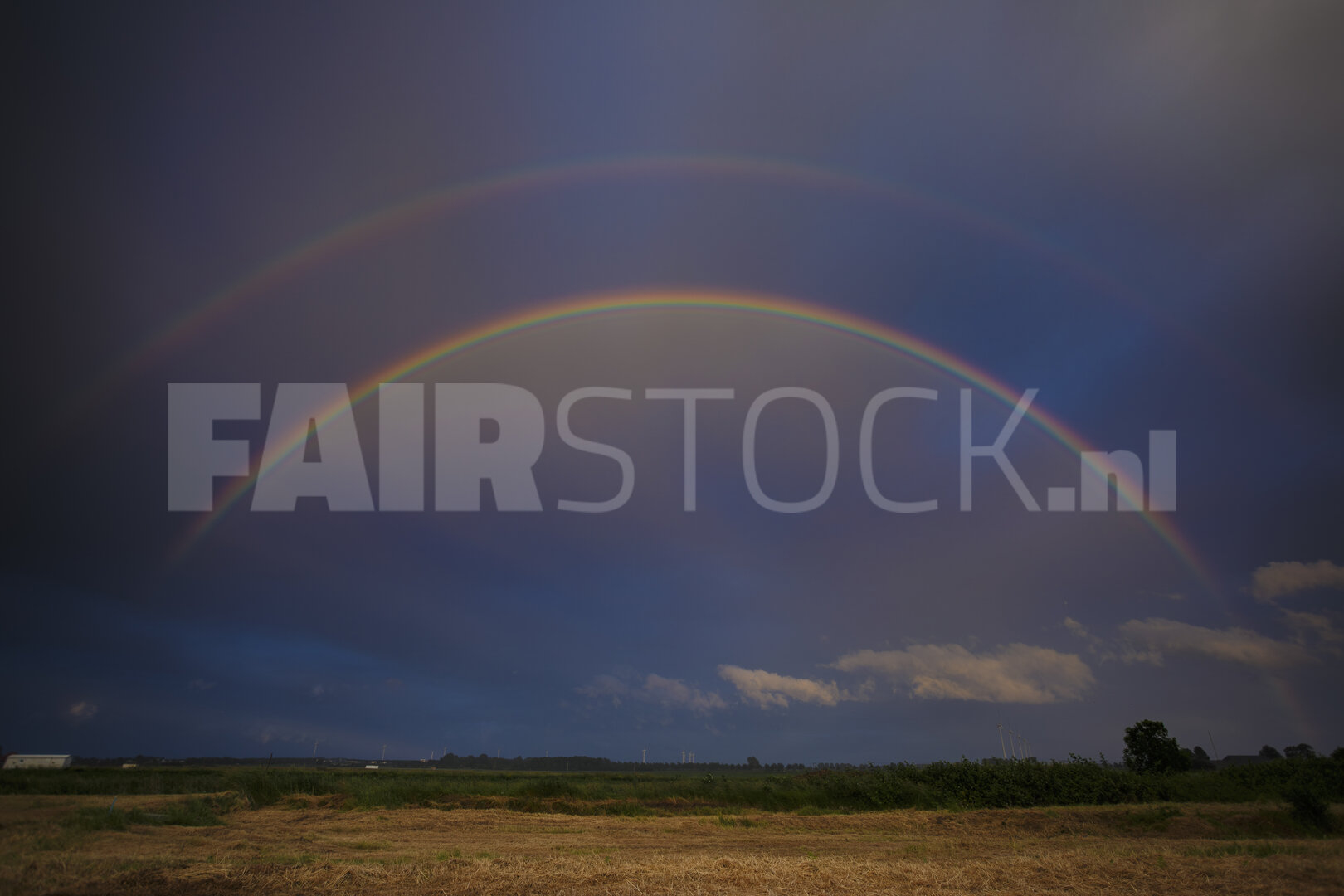 Kleurrijke regenboogbogen boven groen veld