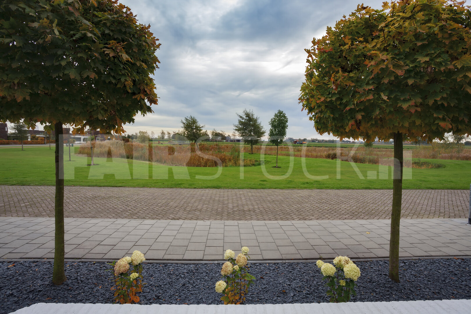 Rustig landschap met verzorgde bomen en bloemen