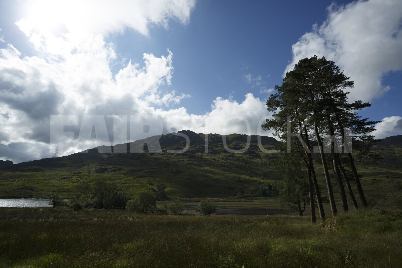 Berglandschap met naaldbomen en water
