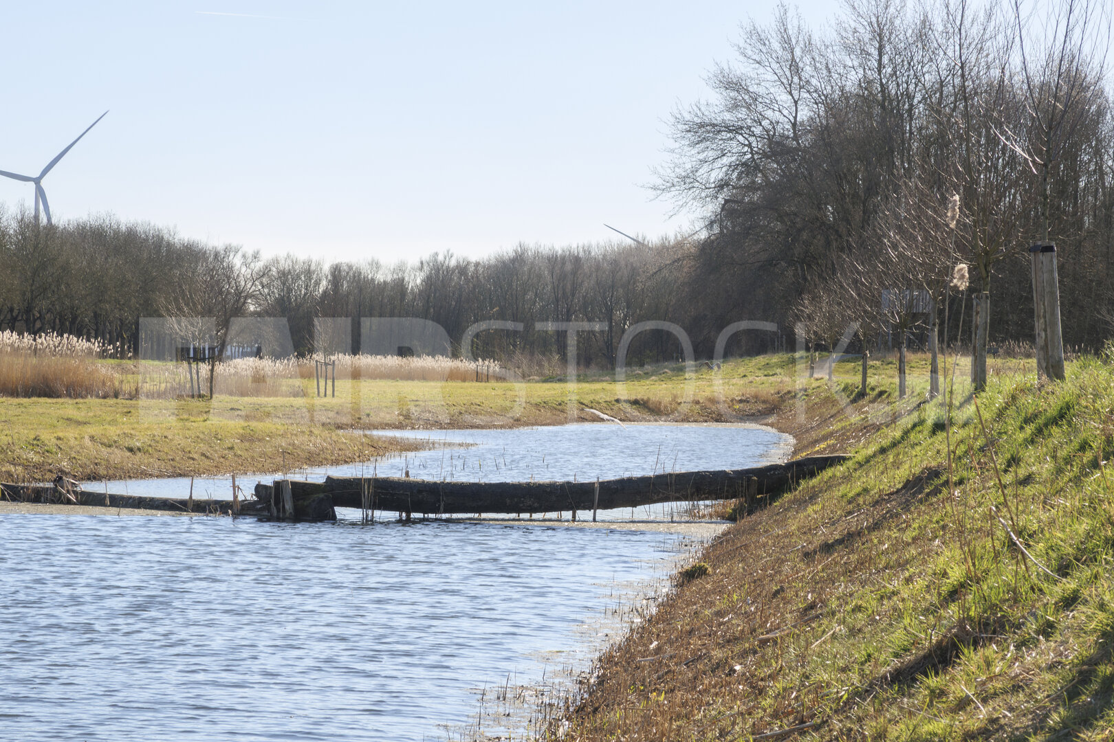 Scenic riverbank view with a wooden structure under a clear sky