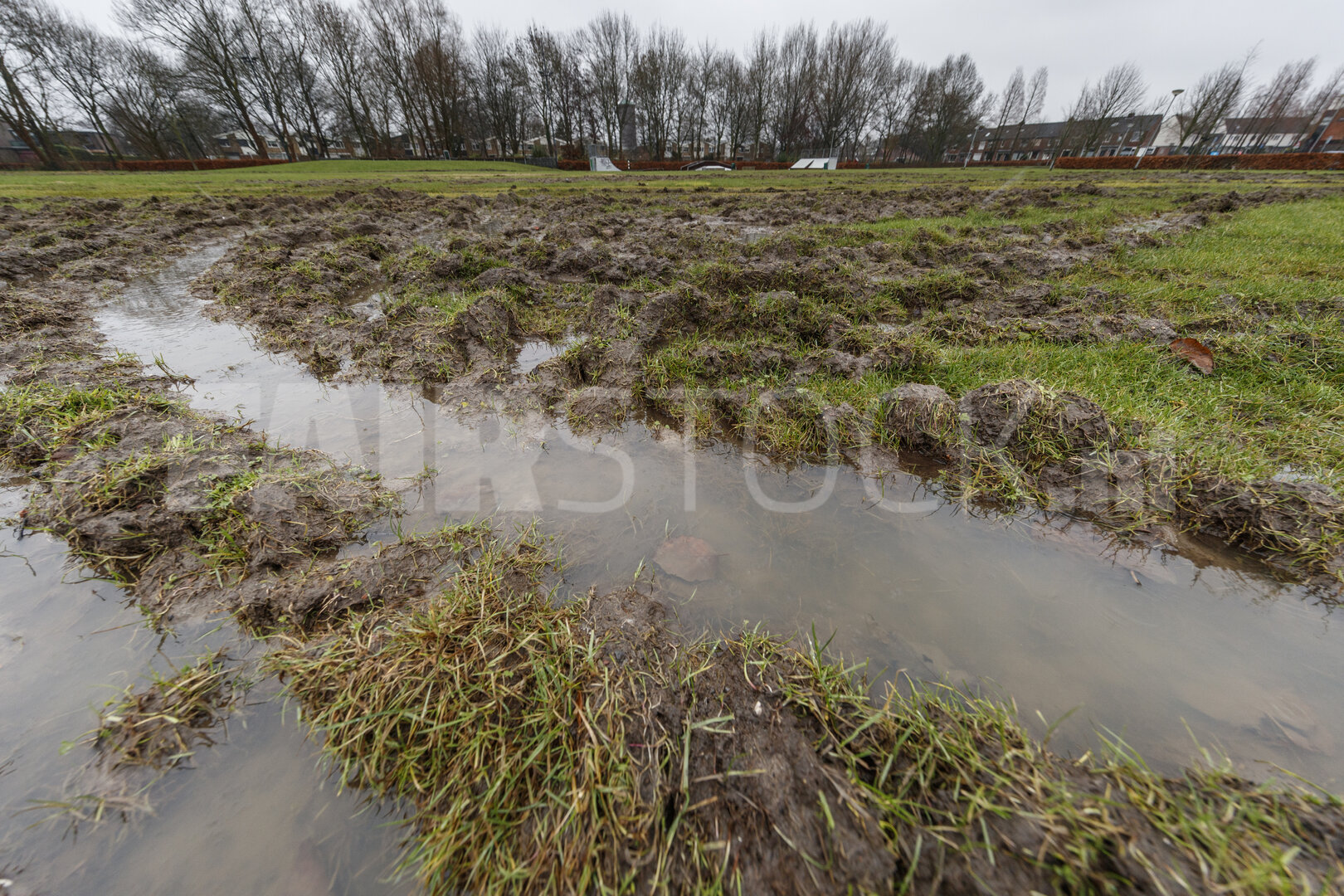 Modderige plassen en omgewoeld gras na regen