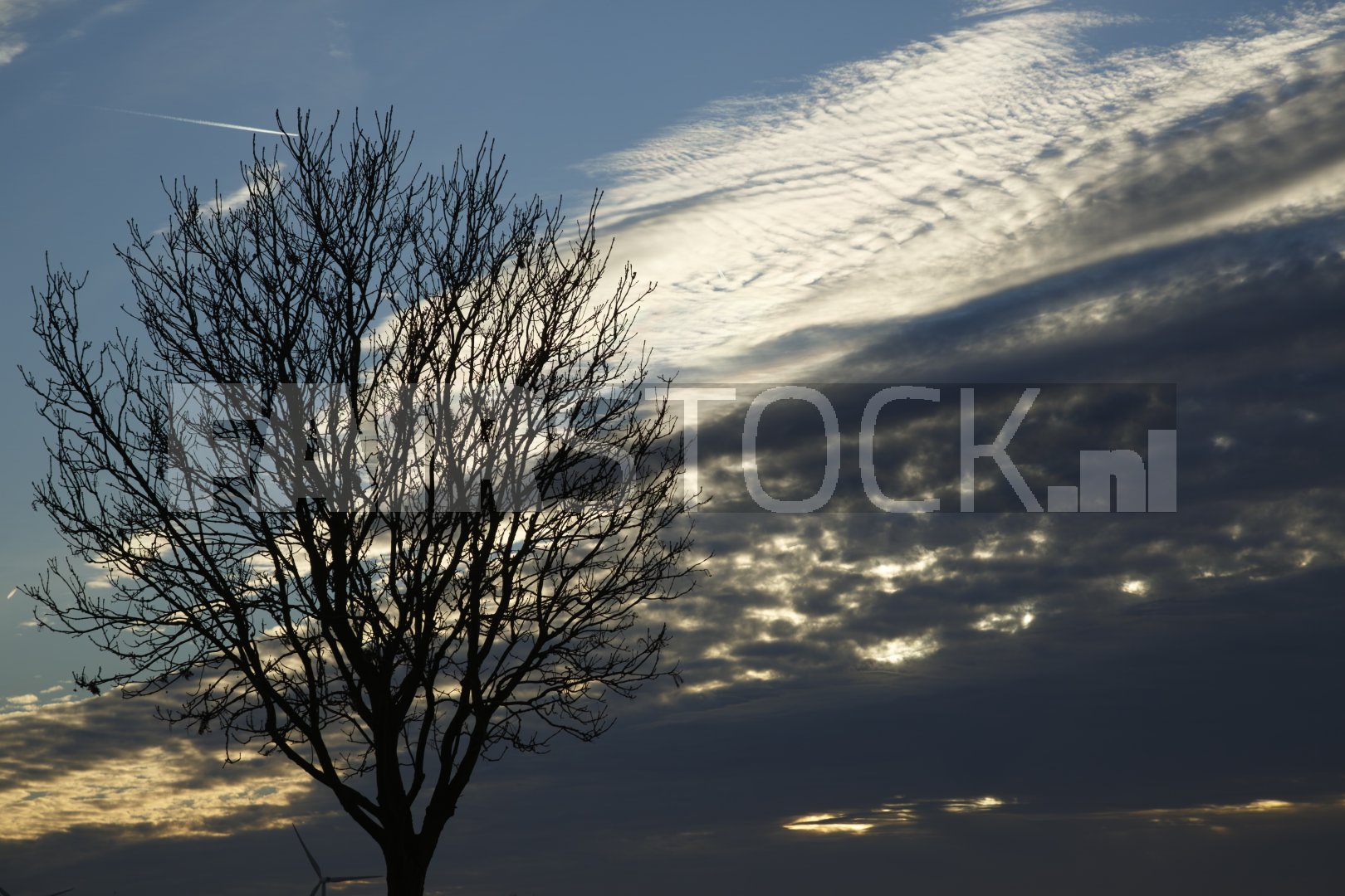 Silhouet van boom bij zonsondergang met wolken