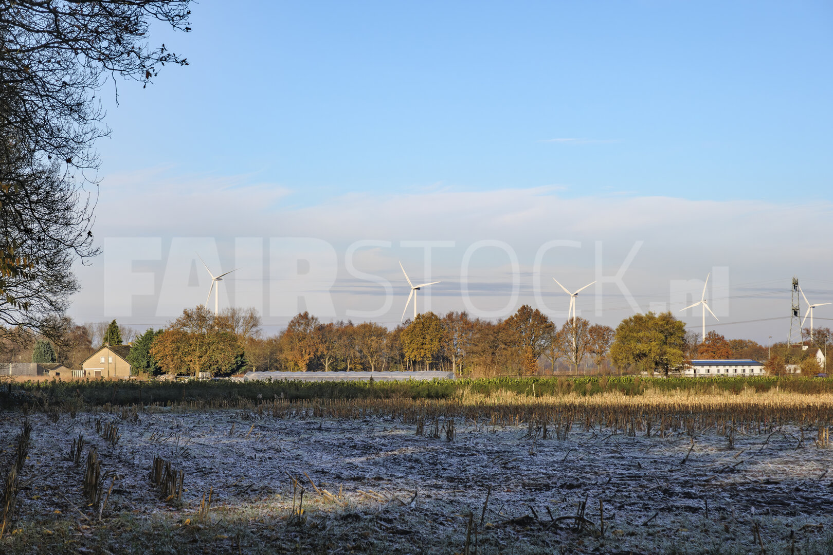 Vorstmorgen in het platteland: herfst maakt plaats voor winter