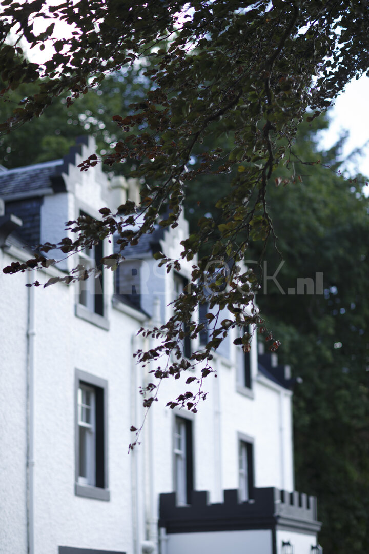 Historisch wit gebouw onder de bomen