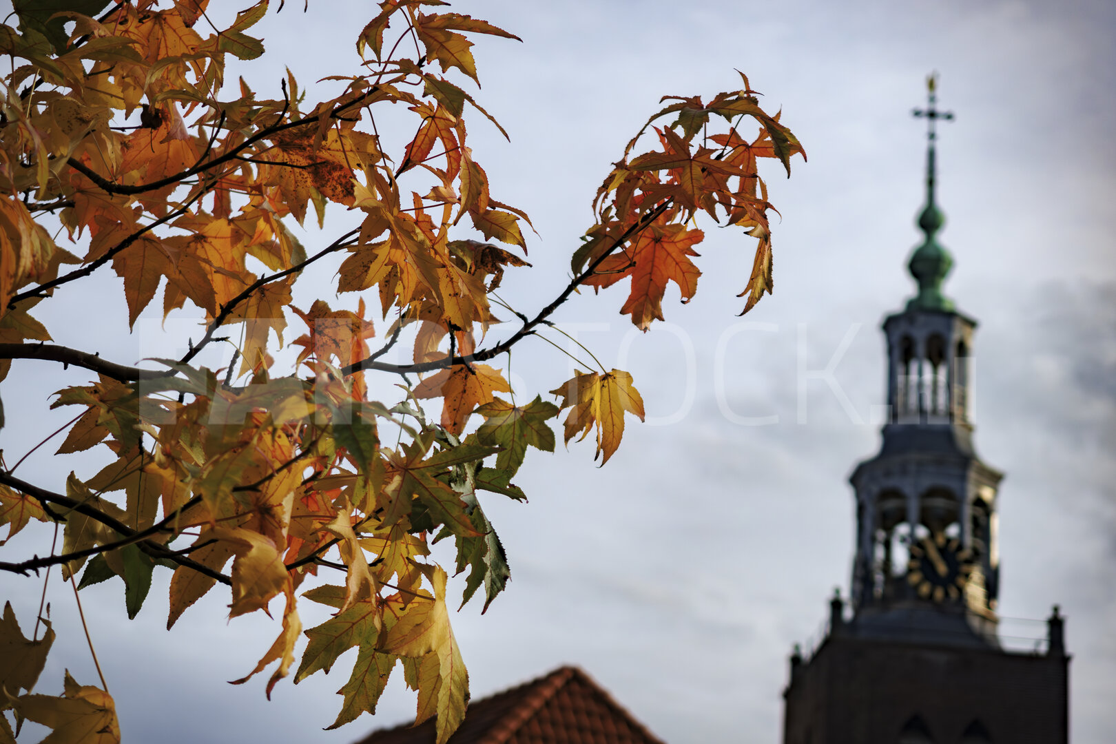 Autumn colors in Zevenbergen, Noord-Brabant, showcasing the loca