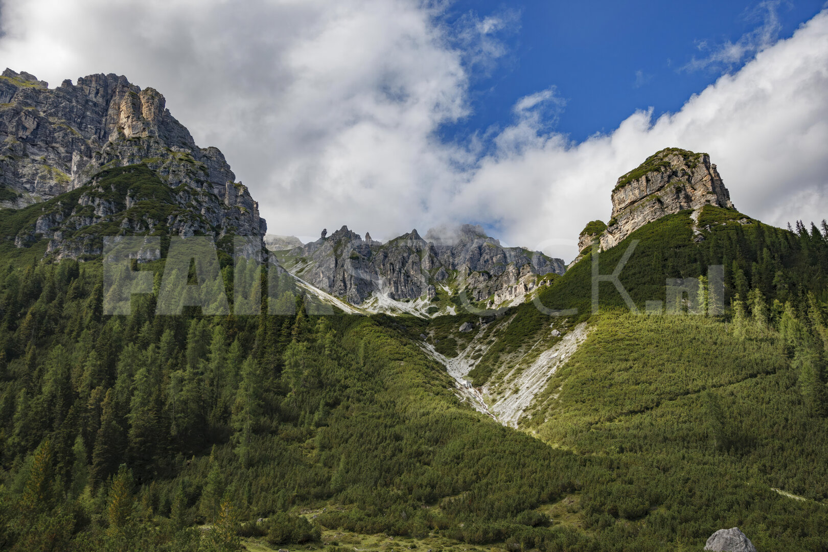 Majesteiteuze Oostenrijkse alpinen met beboste flanken